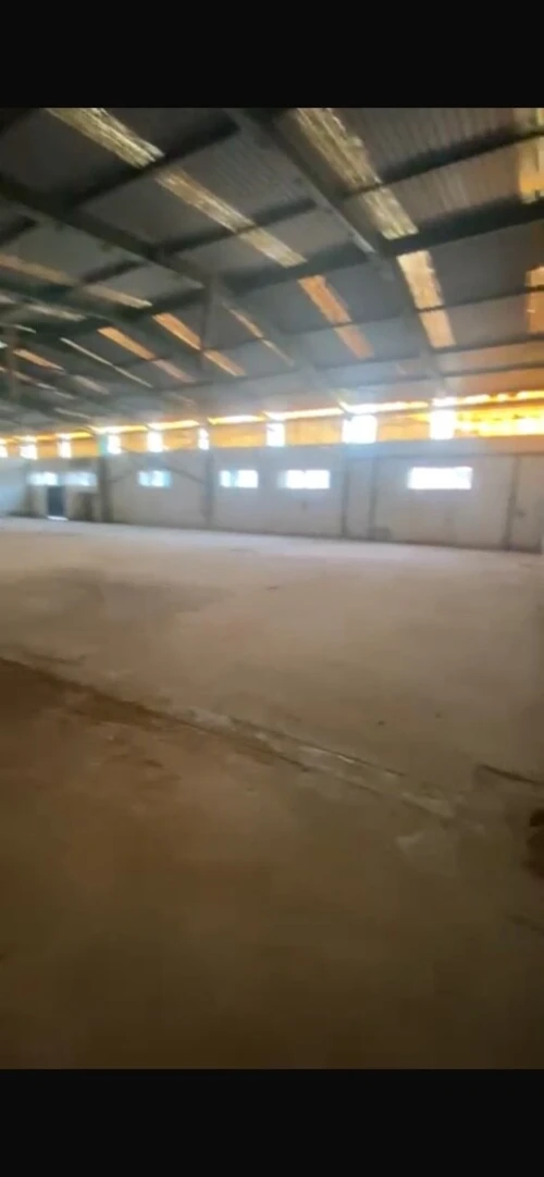 Vente Hangar Oran Es senia