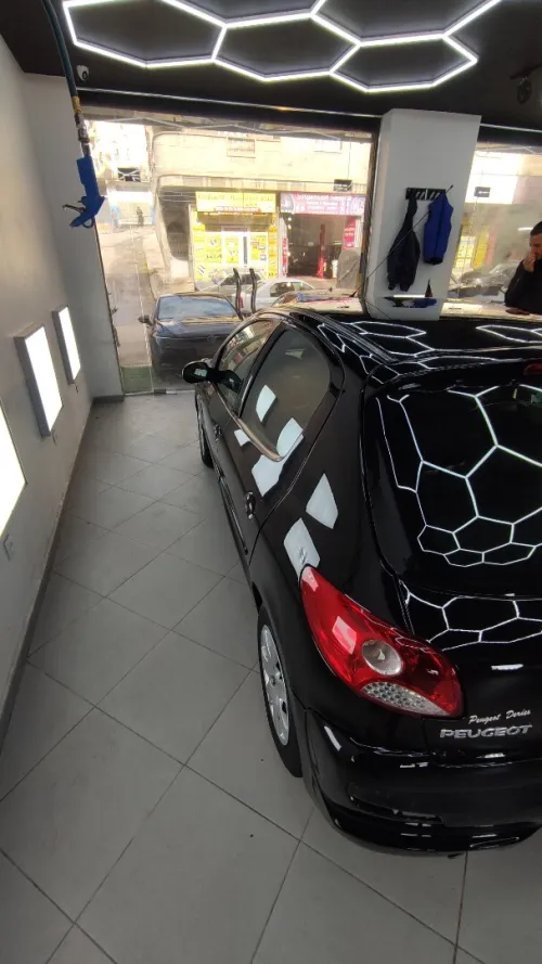 Peugeot 206 Plus 2010 206 Plus
