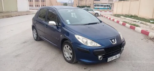 Peugeot 307 2006 Oxygo