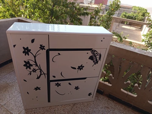 خزانة أحذية
