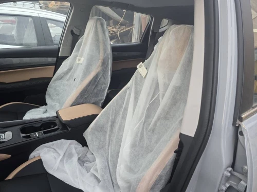Geely Pro 2025 