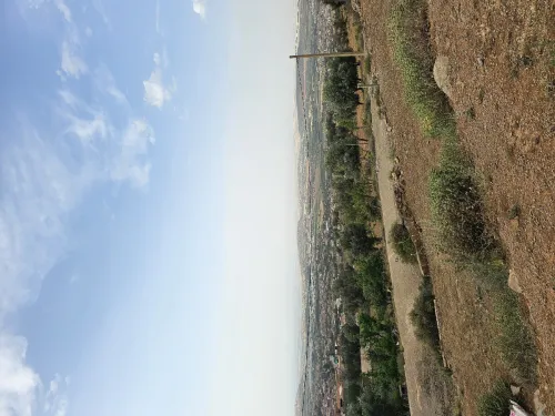 Vente Terrain Tlemcen Tlemcen