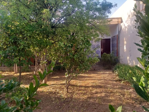 Vente Villa Sidi Bel Abbès Sidi bel abbes