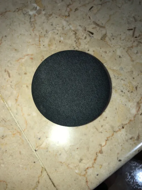 Google nest mini gen2