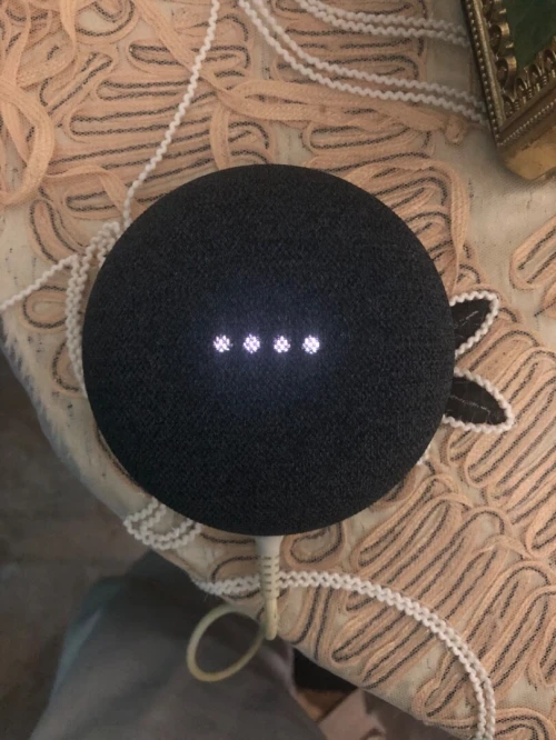 Google nest mini gen2