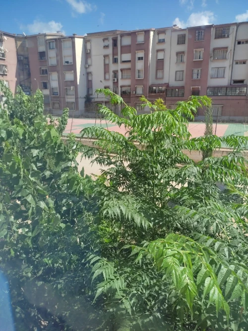 Vente Appartement F2 Alger Ouled fayet