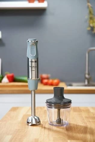 Moulinex Mixeur Plongeant Dd655D10 1000W Acier Inoxydable
