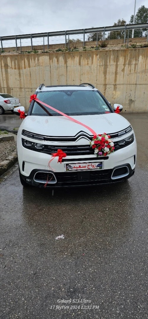 Citroen C5 2021 Air cross