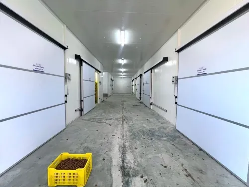 Climatisation automatique centrale 