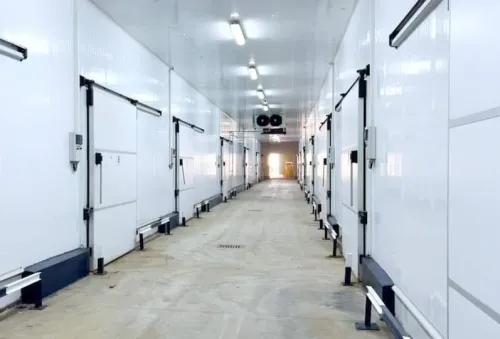 Installation climatisation central et réalisation des chambres froides