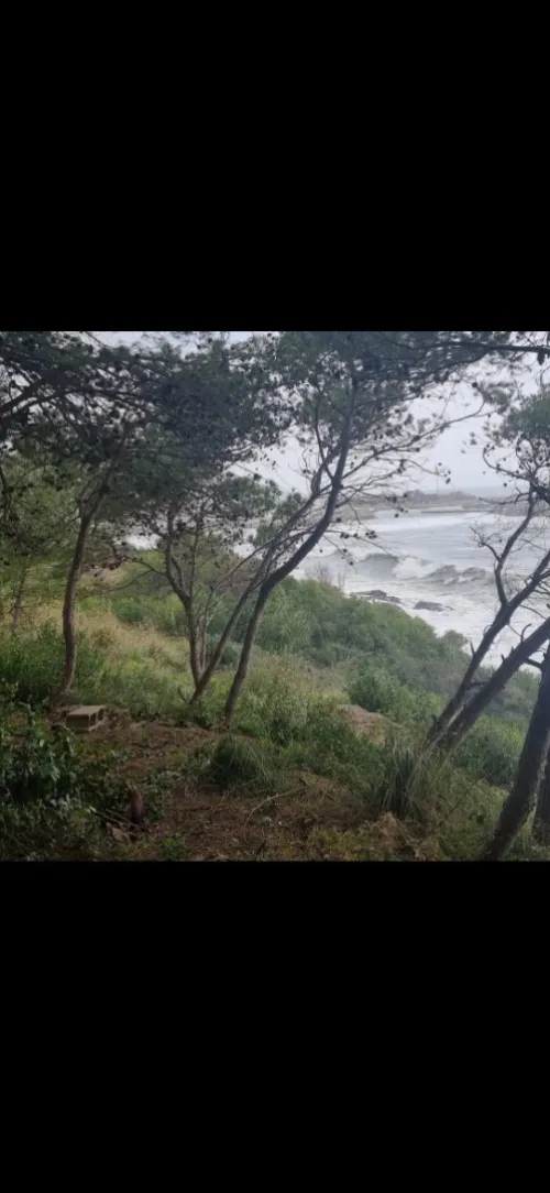 Vente Terrain Béjaïa Bejaia