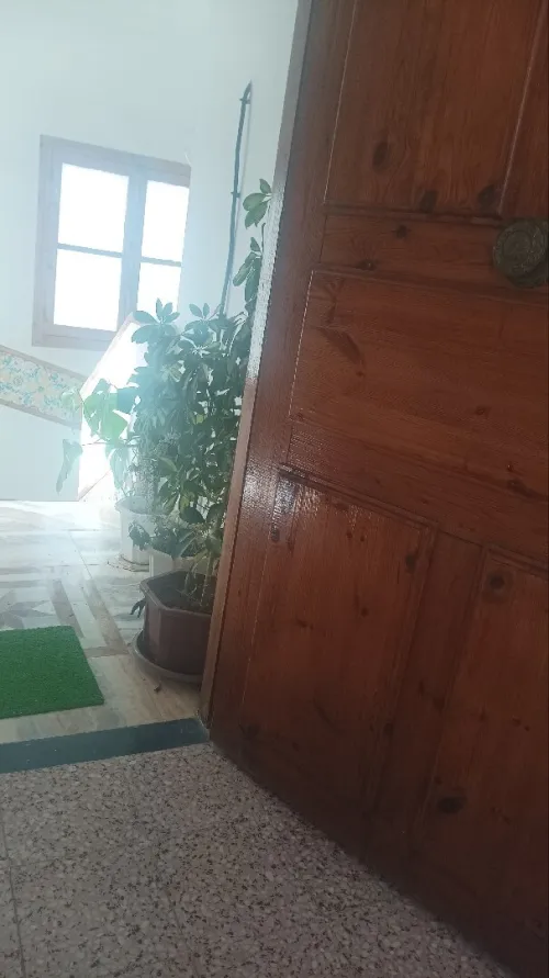 Location Niveau De Villa F2 Alger Hydra