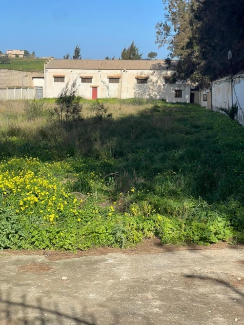 Location Terrain Alger Staoueli