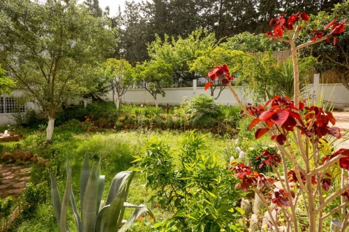 Vente Villa Alger Ain naadja