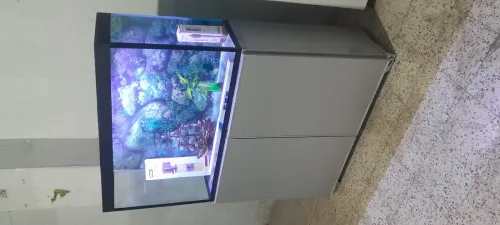 Aquarium 