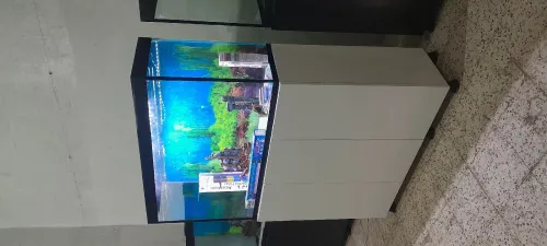 Aquarium avec Meuble 