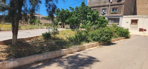 Vente Villa Mostaganem Mostaganem