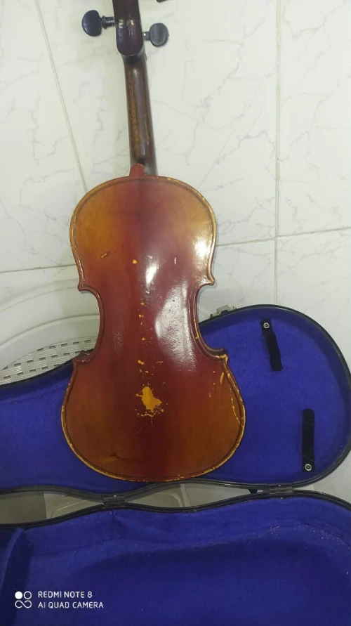 Violon