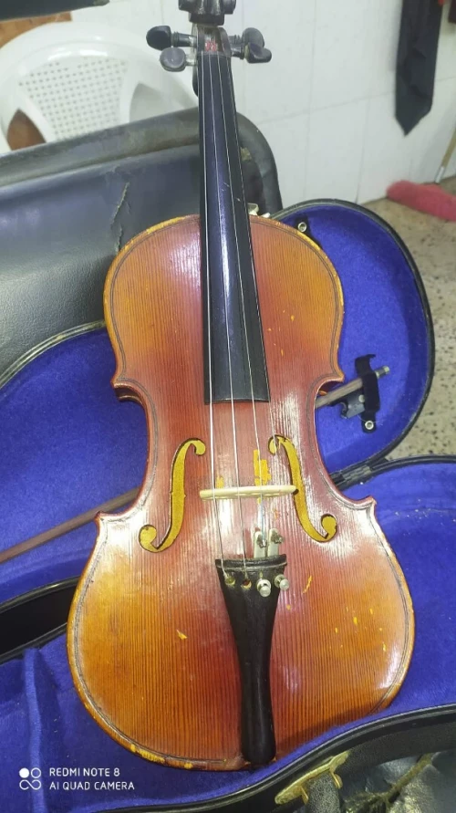Violon