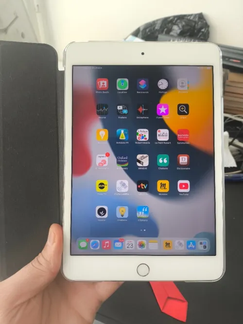 iPad mini 4