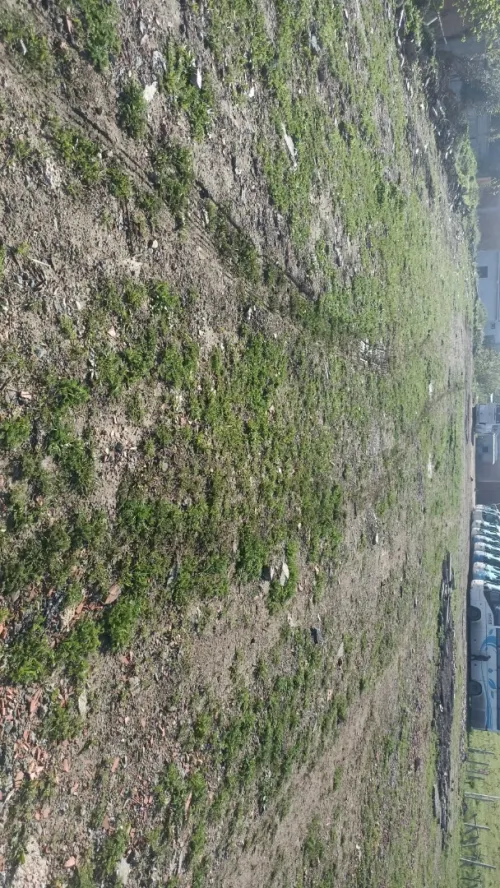 Location Terrain Boumerdès Bordj menaiel