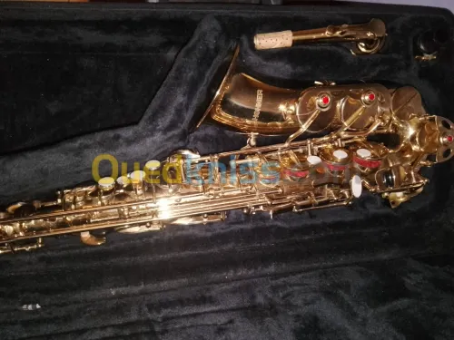 Saxophone alto hohner