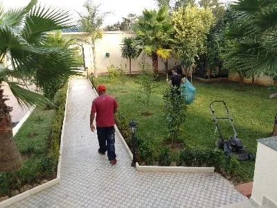 Aménagement et décoration de jardin moderne 