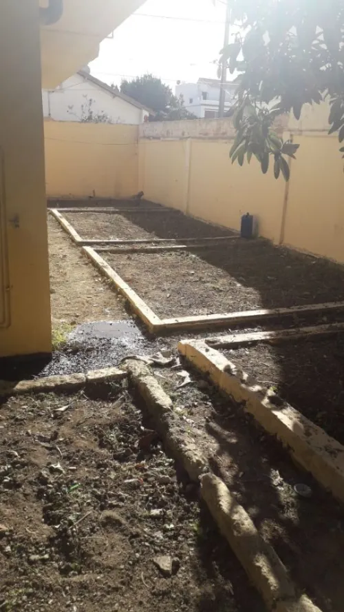 Décoration de jardin moderne 