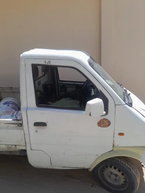 DFM DFM 2008 