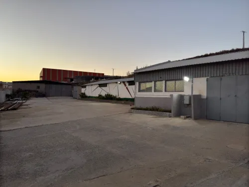 Vente Hangar Guelma Guelma