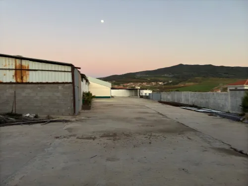 Vente Hangar Guelma Guelma