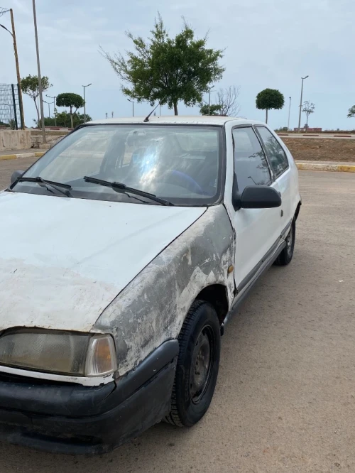 Renault 19 1993 