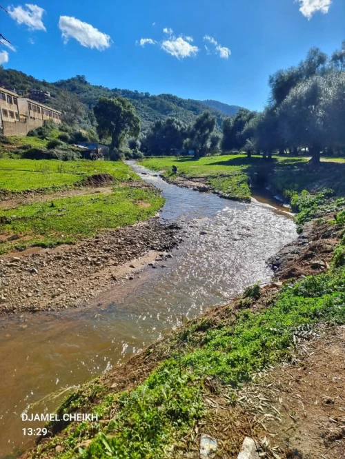 Location vacances Appartement Niveau de villa F2 Skikda Oued zehour
