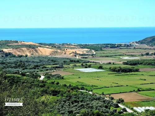 Location vacances Appartement F2 Skikda Oued zehour