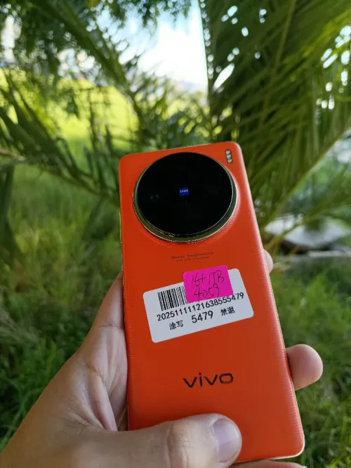 Vivo X100 pro 16/1T