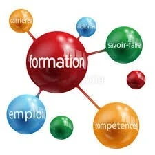 Formations agréé par ANAE sur Power BI, Python Data Science , SPSS, R, SPSS AMOS, EXCEL, Nvivo...