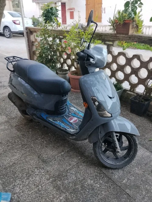 Sym Fiddle 2 2018