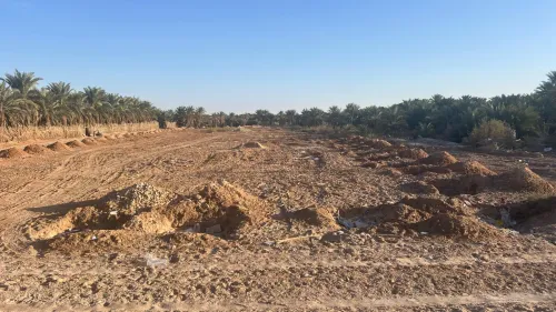 Vente Terrain Ouargla Ouargla
