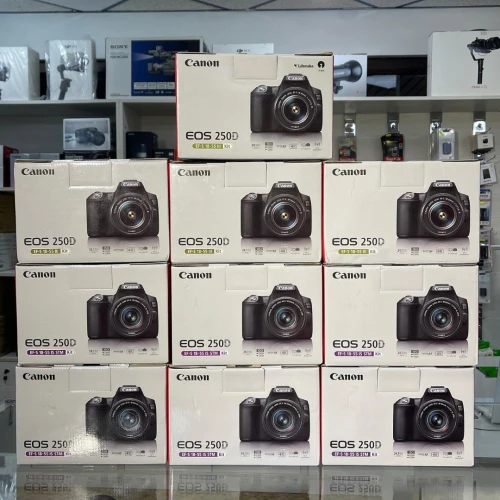 Canon EOS 250D 18-55 stm