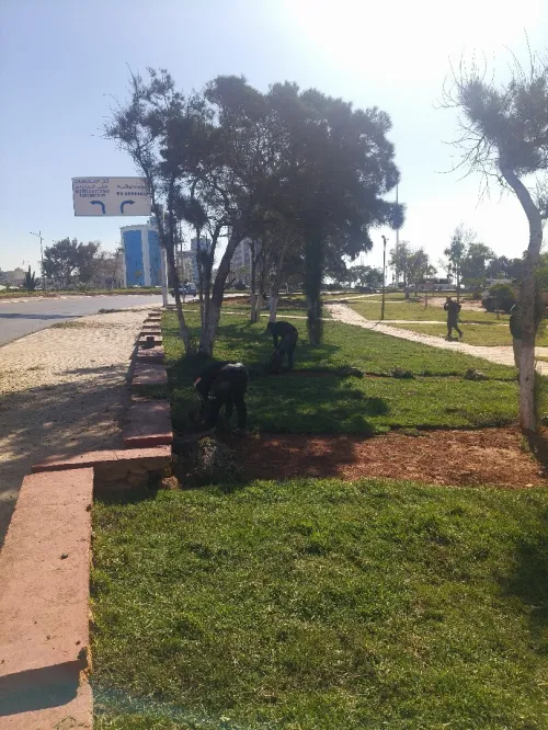 amenagement des espaces vert