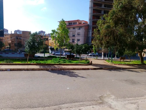 Location Local Oran Bir el djir