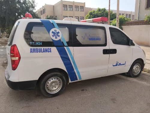 Hyundai H1 2009