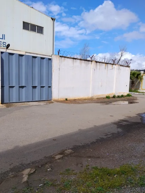 Vente Hangar - Usine Alger Birtouta