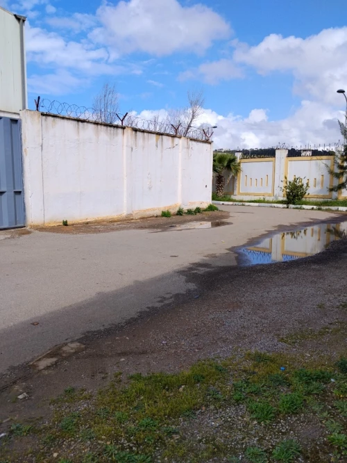 Vente Hangar - Usine Alger Birtouta