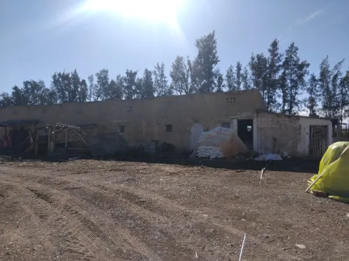 Vente Terrain Agricole Aïn Defla Bir ould khelifa