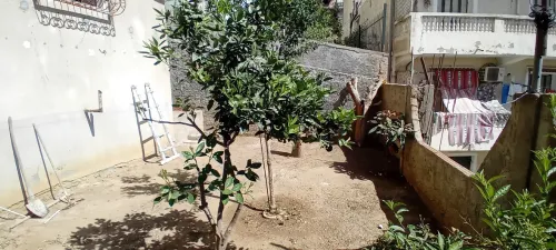 Location Appartement F4 Alger Bouzareah