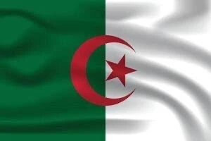 Drapeau national T2