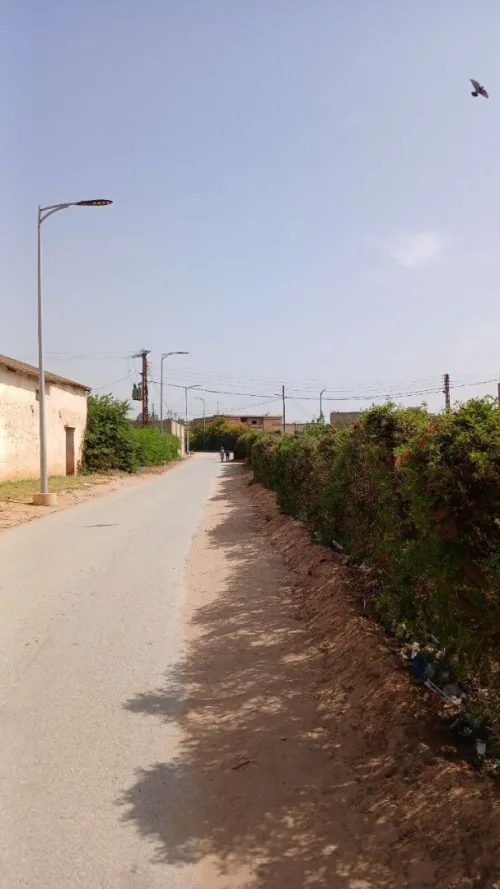Vente Hangar Mostaganem Souaflia
