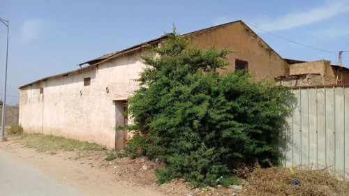 Vente Hangar Mostaganem Souaflia