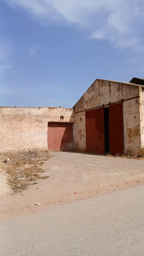 Vente Hangar Mostaganem Souaflia
